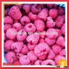 Exporting Good Whole Iqf Raspberry