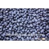 Chinese best quality bulk frozen blueberry