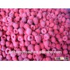 china price IQF raspberry