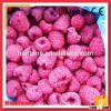 Whole Red Frozen Iqf Raspberry From China