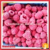 Importers Of Frozen Fruit Iqf Raspberry