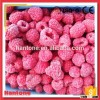 Whole Iqf Raspberry Dices From China