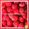 Good Quality Iqf Raspberry Whole