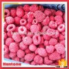 China Best Price Frozen Organic Raspberry
