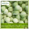 Frozen green honeydew melon balls with best price