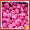 Importers Of Good Taste Frozen Iqf Raspberry