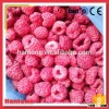 Hot Sale Frozen Sweet Raspberry On Sale