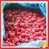 Iqf Raspberry Dices Fruit Seller