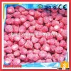 Price for New Frozen Strawberry Whole