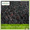 Frozen IQF Blackberry with Best Price