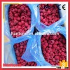 Iqf Raspberry Seller