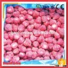 Frozen Dice/Whole Strawberry A Grade