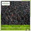 Bulk Frozen IQF Blackberry Price
