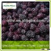 Good Qulaity IQF Whole Blackberry