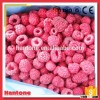 Red Whole Iqf Raspberryies