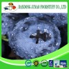 frozen fruit fresh bulk iqf blueberry harvester