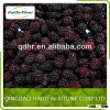 China Hot Sale Fruits IQF Blackberry