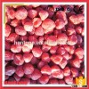 Grade A / B Frozen Cross Cut Strawberry