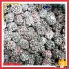 Calibrated Grade A IQF Whole Blackberry