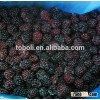 IQF organic blackberry