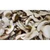Supply Frozen dried mushroom slice with good quality for sale