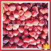 IQF Frozen Organic Strawberry for Export