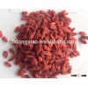 Dried Fruit Price Goji Berries