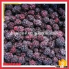 Supply Frozen IQF Blackberry Grade A