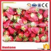 Frozen Strawberry Ready for Supply