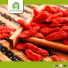 farm high quality dried goji berry ningxia goji with great price