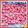 Quick IQF Frozen Fruit Whole Strawberry