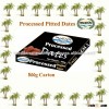 High Quality Fresh Dates, Processed Pitted Dates Deglet Noor from Tunisia, Fresh Dates Pitted Proces
