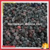 15-25mm Size Frozen Blackberry Fruit