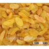 Raisin, Golden Raisin, Sultana Raisin on sale