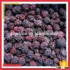 China Hot Sale Fruits IQF Blackberry