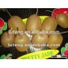 2015 chinese bulk fresh kiwi fruits exporter from China