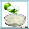 Dried & Desiccated Coconut Powder