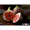 Raw or Dried Fig - Wholesale Price - www.agriprices.com - Visit Site For Free Samples