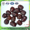 Best Dried Honey Dates For Sale