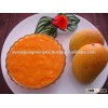 Mango Pulp Concentrate Supplier