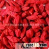 Organic Dried Goji Berries Orign of Ning Xia 2015