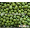 green mung bean( for sprouting)