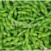 IQF Edamame Frozen Green Soy bean