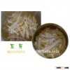Canned bean sprout with low pricing