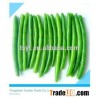 IQF Frozen Green Bean Whole and Cut