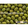 green mung bean( for sprouting) Japan standard