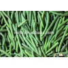 IQF Vegetable Frozen whole green bean