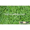 2014New Crop Frozen Soyabean For Sale