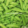 New Crop Frozen snow pea IQF Vegetable Frozen sweet broad pea