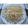 Bean Sprouts